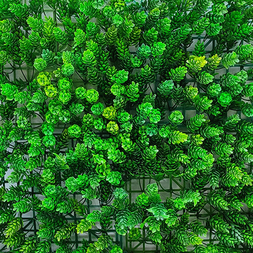 گرین وال کاج پر تراکم